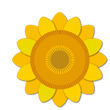himawari_is.png